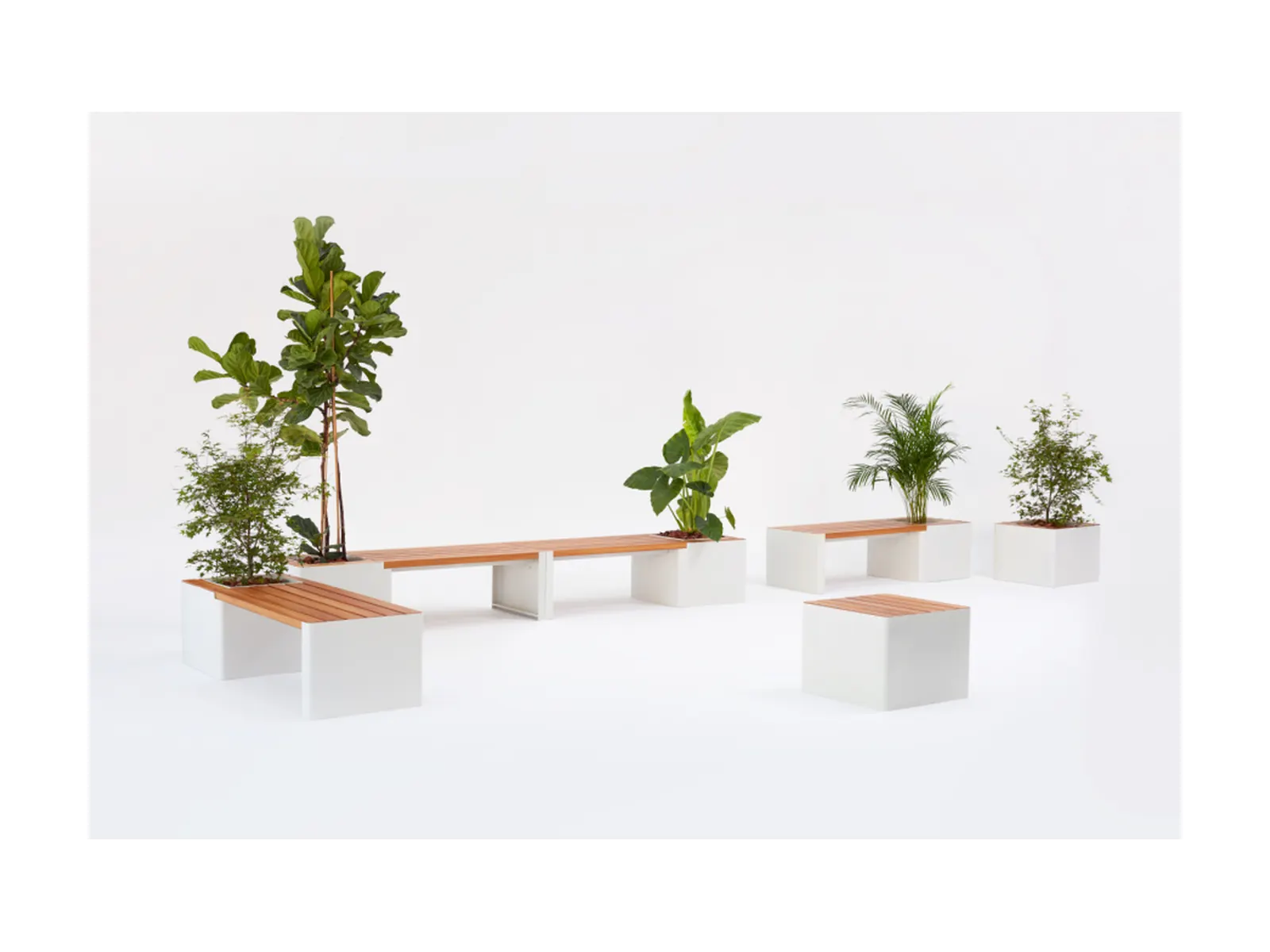 HobbyFlower Woodgreen, sistema modular de bancos y jardineras en madera de iroko sobre fondo blanco